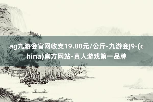 ag九游会官网收支19.80元/公斤-九游会J9·(china)官方网站-真人游戏第一品牌