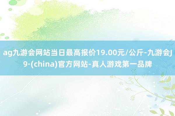 ag九游会网站当日最高报价19.00元/公斤-九游会J9·(china)官方网站-真人游戏第一品牌