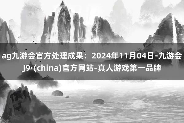 ag九游会官方处理成果：2024年11月04日-九游会J9·(china)官方网站-真人游戏第一品牌